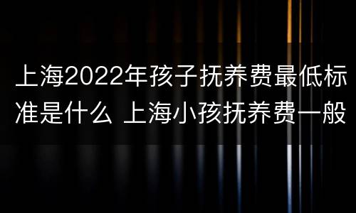 上海2022年孩子抚养费最低标准是什么 上海小孩抚养费一般在多少2019