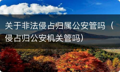 关于非法侵占归属公安管吗（侵占归公安机关管吗）