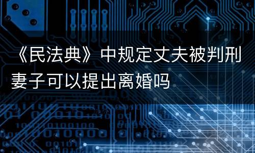 《民法典》中规定丈夫被判刑妻子可以提出离婚吗