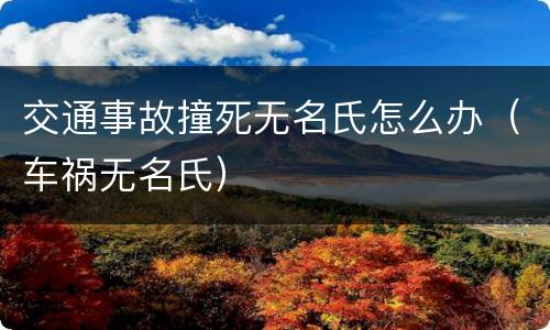 交通事故撞死无名氏怎么办（车祸无名氏）