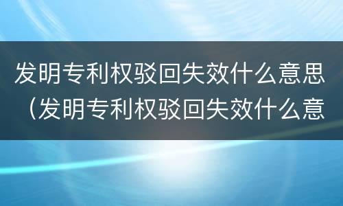 发明专利权驳回失效什么意思（发明专利权驳回失效什么意思啊）