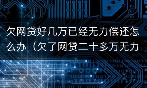 欠网贷好几万已经无力偿还怎么办（欠了网贷二十多万无力偿还怎么解决）
