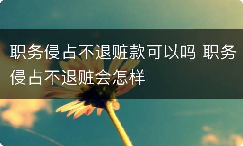 职务侵占不退赃款可以吗 职务侵占不退赃会怎样
