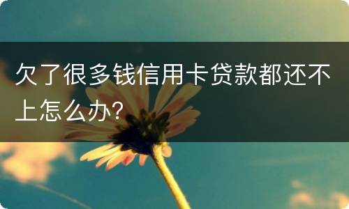 欠了很多钱信用卡贷款都还不上怎么办？