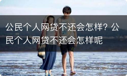 公民个人网贷不还会怎样? 公民个人网贷不还会怎样呢