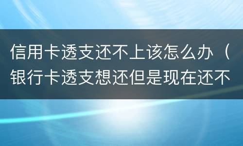 信用卡透支还不上该怎么办（银行卡透支想还但是现在还不上怎么办）