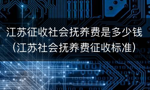 江苏征收社会抚养费是多少钱（江苏社会抚养费征收标准）