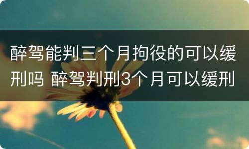 醉驾能判三个月拘役的可以缓刑吗 醉驾判刑3个月可以缓刑吗