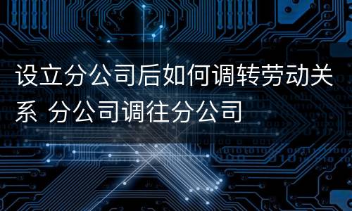 设立分公司后如何调转劳动关系 分公司调往分公司