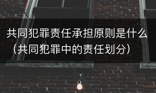 共同犯罪责任承担原则是什么（共同犯罪中的责任划分）