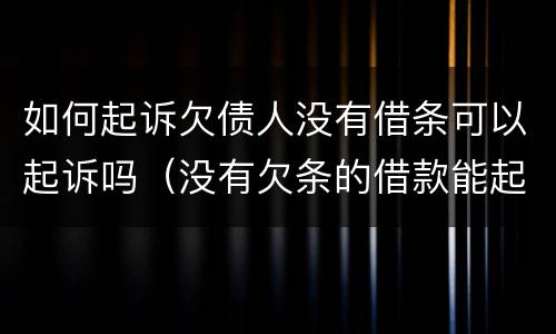 如何起诉欠债人没有借条可以起诉吗（没有欠条的借款能起诉吗）