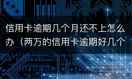 信用卡逾期几个月还不上怎么办（两万的信用卡逾期好几个月一直没还严重吗）