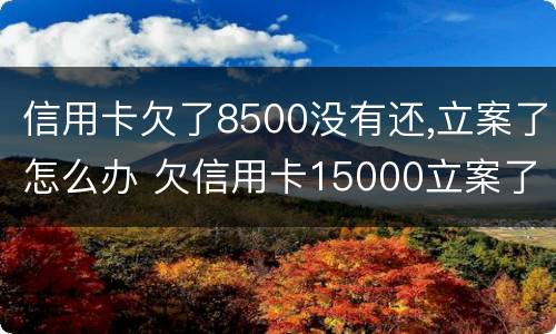 信用卡欠了8500没有还,立案了怎么办 欠信用卡15000立案了