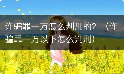 诈骗罪一万怎么判刑的？（诈骗罪一万以下怎么判刑）