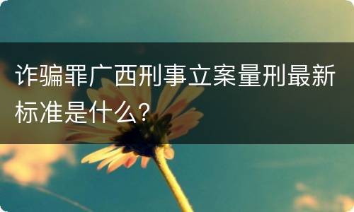 诈骗罪广西刑事立案量刑最新标准是什么？