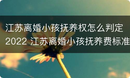 江苏离婚小孩抚养权怎么判定2022 江苏离婚小孩抚养费标准