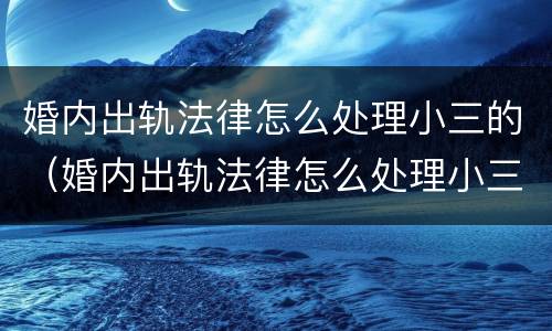 婚内出轨法律怎么处理小三的（婚内出轨法律怎么处理小三的财产）