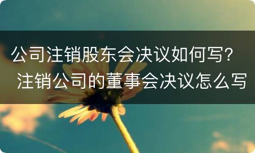 公司注销股东会决议如何写？ 注销公司的董事会决议怎么写