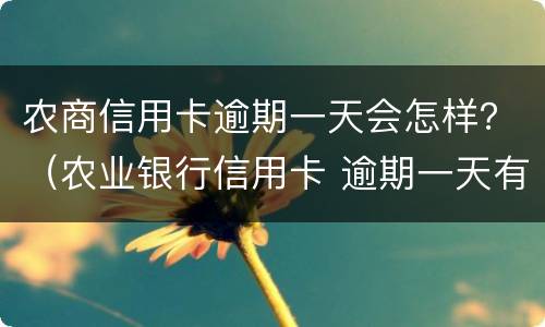 农商信用卡逾期一天会怎样？（农业银行信用卡 逾期一天有没有影响?）