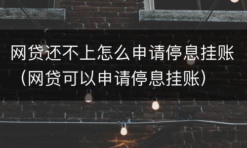 网贷还不上怎么申请停息挂账（网贷可以申请停息挂账）