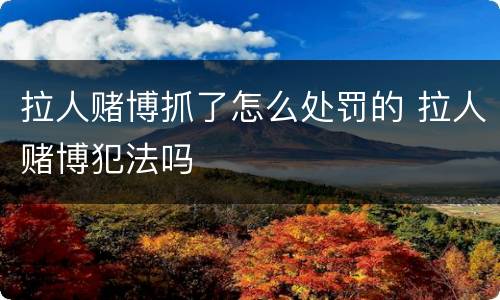 拉人赌博抓了怎么处罚的 拉人赌博犯法吗