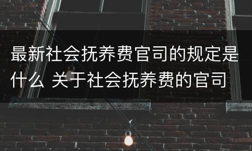 最新社会抚养费官司的规定是什么 关于社会抚养费的官司