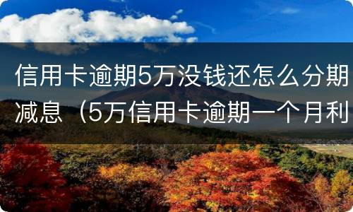 信用卡逾期5万没钱还怎么分期减息（5万信用卡逾期一个月利息加违约金）