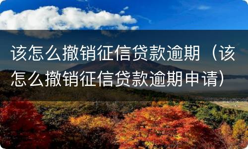 该怎么撤销征信贷款逾期（该怎么撤销征信贷款逾期申请）