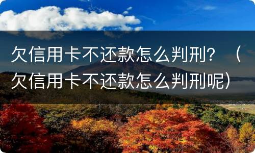 欠信用卡不还款怎么判刑？（欠信用卡不还款怎么判刑呢）