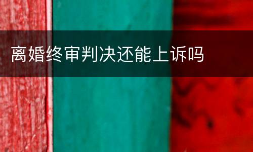 离婚终审判决还能上诉吗