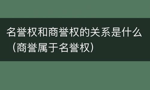 名誉权和商誉权的关系是什么（商誉属于名誉权）