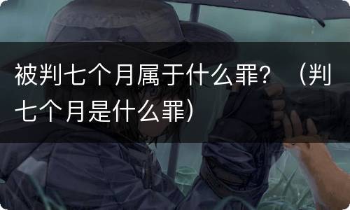 被判七个月属于什么罪？（判七个月是什么罪）