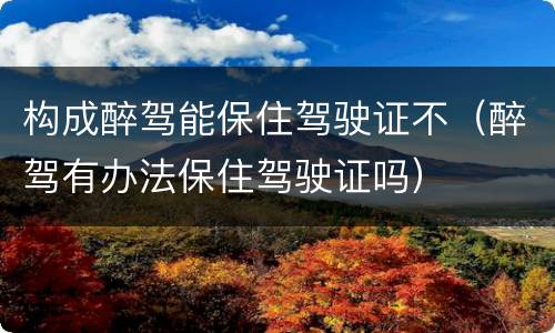 构成醉驾能保住驾驶证不（醉驾有办法保住驾驶证吗）