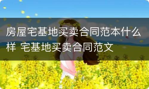 房屋宅基地买卖合同范本什么样 宅基地买卖合同范文