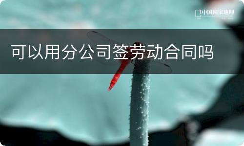 可以用分公司签劳动合同吗