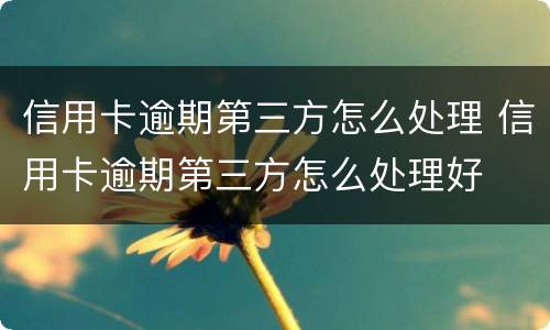 信用卡逾期第三方怎么处理 信用卡逾期第三方怎么处理好