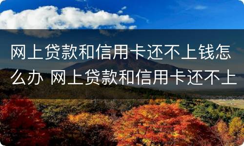 网上贷款和信用卡还不上钱怎么办 网上贷款和信用卡还不上钱怎么办呢