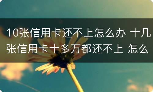 10张信用卡还不上怎么办 十几张信用卡十多万都还不上 怎么办