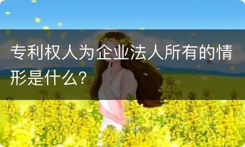 专利权人为企业法人所有的情形是什么？