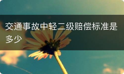 交通事故中轻二级赔偿标准是多少