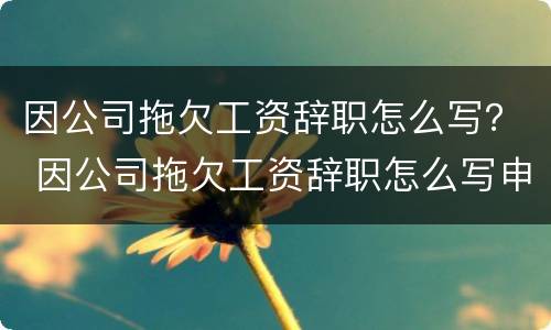 因公司拖欠工资辞职怎么写？ 因公司拖欠工资辞职怎么写申请