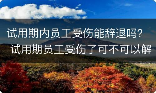试用期内员工受伤能辞退吗？ 试用期员工受伤了可不可以解雇
