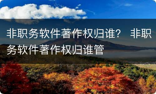 非职务软件著作权归谁？ 非职务软件著作权归谁管