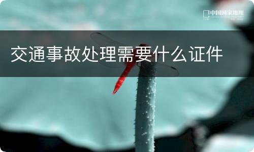 交通事故处理需要什么证件