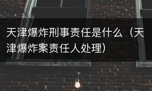 天津爆炸刑事责任是什么（天津爆炸案责任人处理）