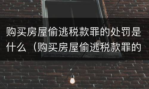 购买房屋偷逃税款罪的处罚是什么（购买房屋偷逃税款罪的处罚是什么标准）