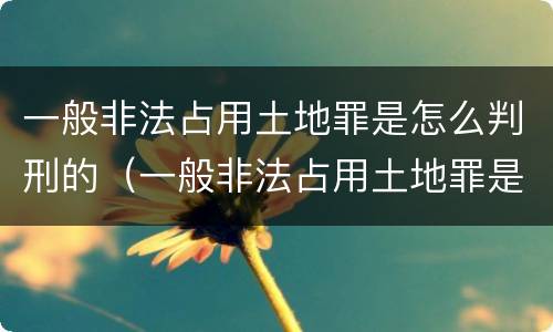 一般非法占用土地罪是怎么判刑的（一般非法占用土地罪是怎么判刑的案例）