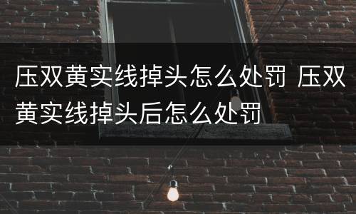压双黄实线掉头怎么处罚 压双黄实线掉头后怎么处罚