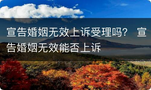 宣告婚姻无效上诉受理吗？ 宣告婚姻无效能否上诉