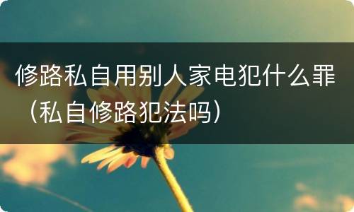 修路私自用别人家电犯什么罪（私自修路犯法吗）